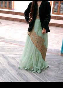 Elegant Light Green Embroidered Ethnic Gown