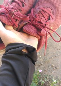 Maroon Puma Sneakers
