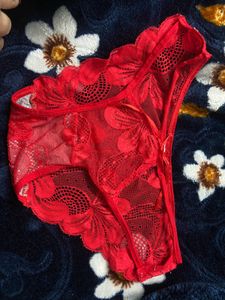 Designer Net Red Brief
