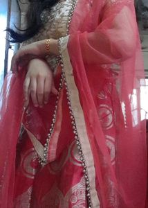 Women's Organza Lehenga Choli with Blouse