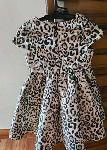 Leopard Print A-Line Dress
