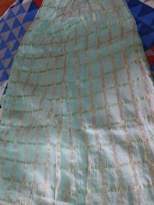 Light Blue Ethnic Skirt with Gold Pattern