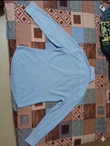 Blue Striped Men's Shirt