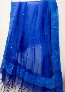 Beautiful Blue Net Dupatta