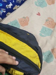 Skybags Backpack