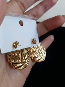 Gold Stainless Steel Earrings