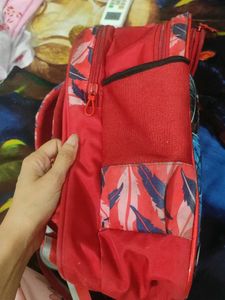 Spiderman Backpack