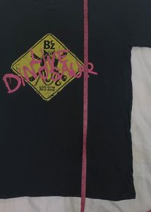Mens' T-Shirt
