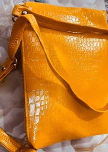 Fancy Sling Bags