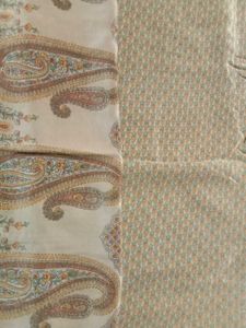 Vintage Paisley pastel saree