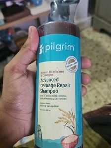 Discover Pilgrim Shampoo for Hair Repair with bell