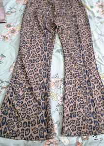 Y2k Flared Pant