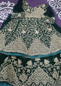 Embroidered Lehenga Choli Set
