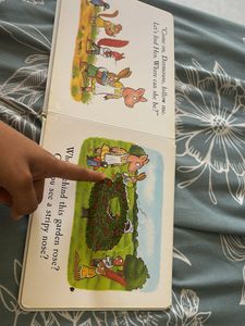 Hide-and-Seek Pig Lift-the-Flap Book