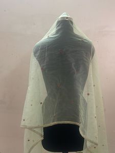 Sheer Dupatta with Embellishments
