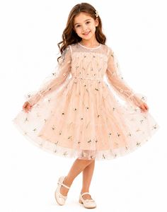 Peach Embroidered Tulle Dress