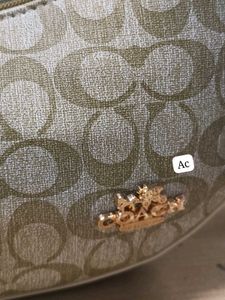 Coach Hobo Bag