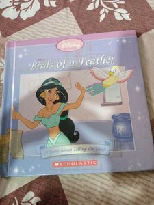 Disney Princess Story Books Lot