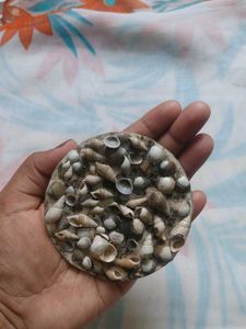 Seashell Bookmark