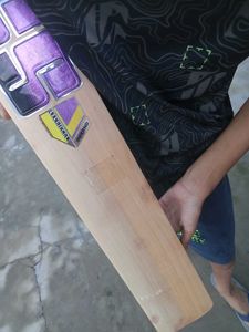 Kashmir Willow Bat Ss Knight Rider Edition