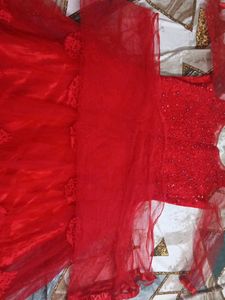 Beautiful Red Embellished Gowns