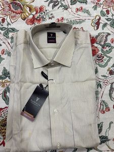 Van Heusen Striped Shirt