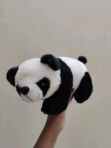 panda 🐼 teddy + free gift available
