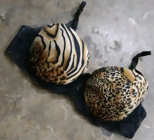 Wild Animal Print Bra
