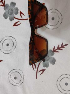 Stylish Tortoiseshell Sunglasses