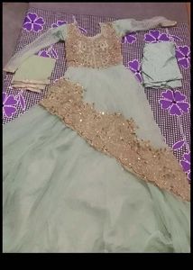 Elegant Light Green Embroidered Ethnic Gown