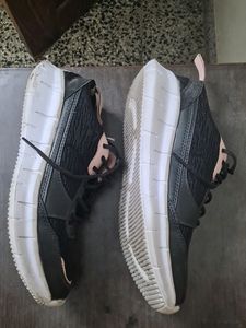 Black Shoes