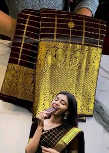 Elegant Brown Saree with Gold Border