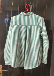 Green &amp; White Striped Button-Up Shirt