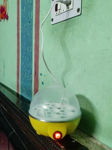 Electric Egg Cooker