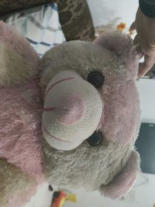 Cute Pink Teddy Bear