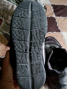 Nike Pegasus 40 Running Shoes