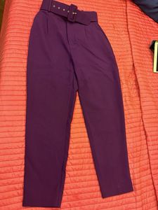 Cinched Waist ZARA Pants with Belt