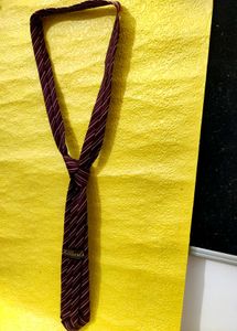 Zodina Striped Burgundy Tie,New Generation Tie👍