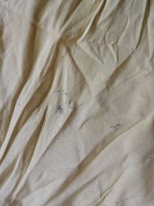Bundle of 2 Girls T-Shirts