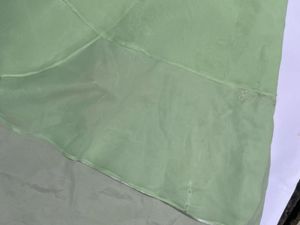 Light Green Embellished Gown