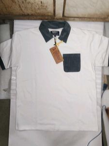 the Roadster Men's White Corduroy Collar Polo Shir