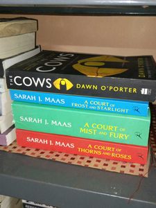 International Bestseller Book Set