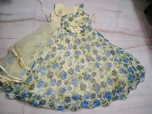 Beautiful Floral Ethnic Gown