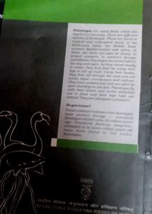ncert Reader English Class XII