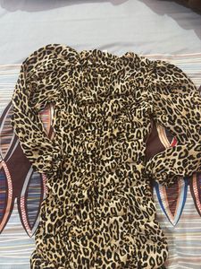 Leopard Print Ruched Mini Dress