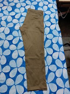 Skinny Brown Ankle Length Trousers