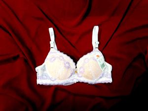 🇳🇿💫🎀 Beautiful embroidery Elegant Lace Bra