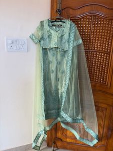 Sage Green Lehenga Choli
