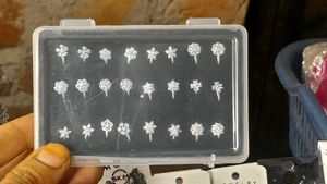 Assorted Nose Pins Set