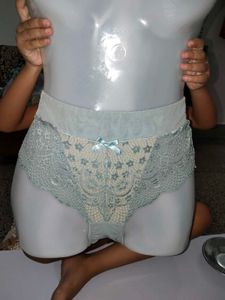 Premium Mint Green High-Waist Sheer Lace Panty (Si